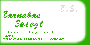 barnabas spiegl business card